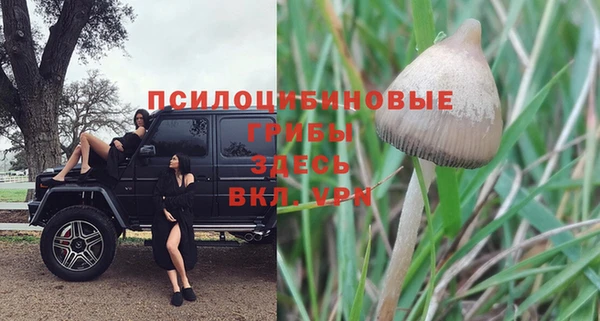 каннабис Арсеньев