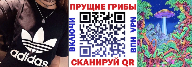 ссылка на мегу маркетплейс Соль-Илецк Галлюциногенные грибы GOLDEN TEACHER
